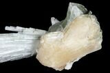 Scolecite Crystal Spray with Apophyllite and Stilbite - India #177523-3